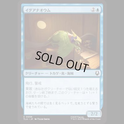 画像1: イグアナオウム/Iguana Parrot [TLA]