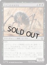 ケイコクオオグモ/Canyon Crawler [TLA]