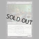 霧の沼地の狩人/Foggy Swamp Hunters [TLA]