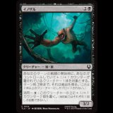 イノザル/Hog-Monkey [TLA]