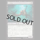 イノザル/Hog-Monkey [TLA]