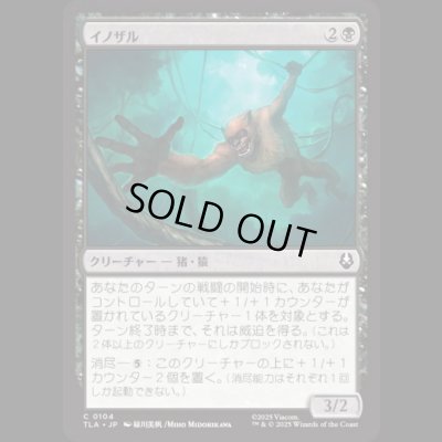 画像1: イノザル/Hog-Monkey [TLA]