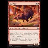 イノアラシ/Boar-q-pine [TLA]