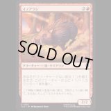 イノアラシ/Boar-q-pine [TLA]