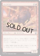 イノアラシ/Boar-q-pine [TLA]