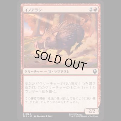 画像1: イノアラシ/Boar-q-pine [TLA]