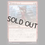 暴動の起こし方/How to Start a Riot [TLA]