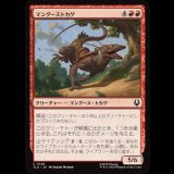 マングーストカゲ/Mongoose Lizard [TLA]