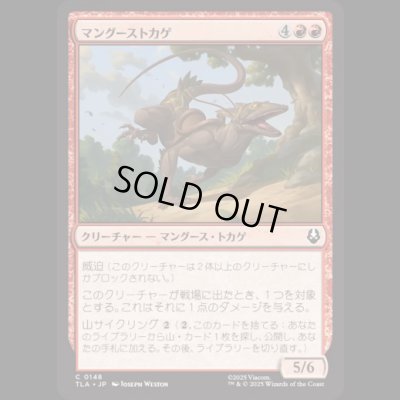 画像1: マングーストカゲ/Mongoose Lizard [TLA]