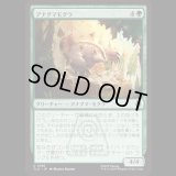 アナグマモグラ/Badgermole [TLA]