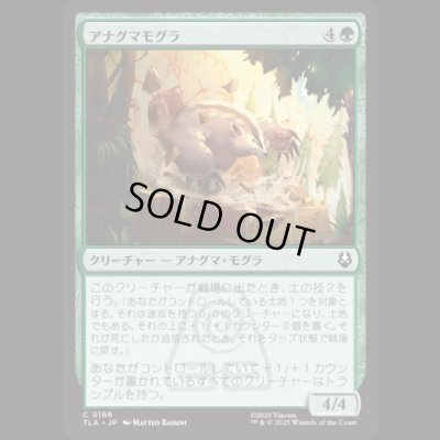 画像1: アナグマモグラ/Badgermole [TLA]