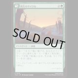 再生のサイクル/Cycle of Renewal [TLA]