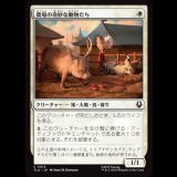 農場の奇妙な動物たち/Curious Farm Animals [TLA]