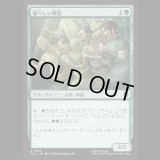 騒々しい観客/Raucous Audience [TLA]