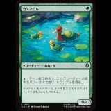 カメアヒル/Turtle-Duck [TLA]