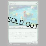 カメアヒル/Turtle-Duck [TLA]