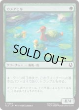 カメアヒル/Turtle-Duck [TLA]