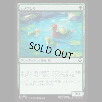 画像1: カメアヒル/Turtle-Duck [TLA]