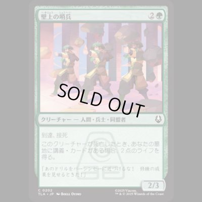 画像1: 壁上の哨兵/Walltop Sentries [TLA]