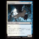 ネコフクロウ/Cat-Owl [TLA]