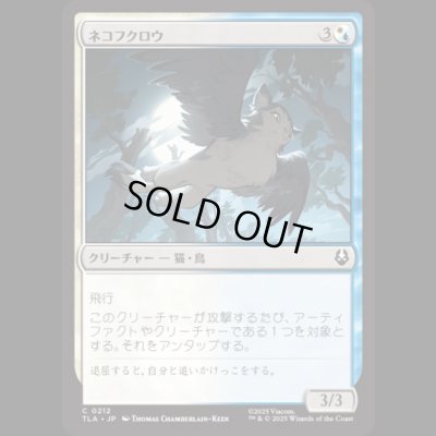 画像1: ネコフクロウ/Cat-Owl [TLA]