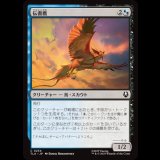 伝書鷹/Messenger Hawk [TLA]