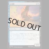 伝書鷹/Messenger Hawk [TLA]