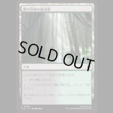 霧の沼地の最深部/Foggy Bottom Swamp [TLA]