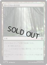 霧の沼地の最深部/Foggy Bottom Swamp [TLA]