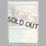 キヨシ村/Kyoshi Village [TLA]