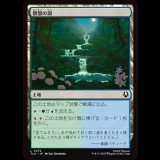 瞑想の淵/Meditation Pools [TLA]