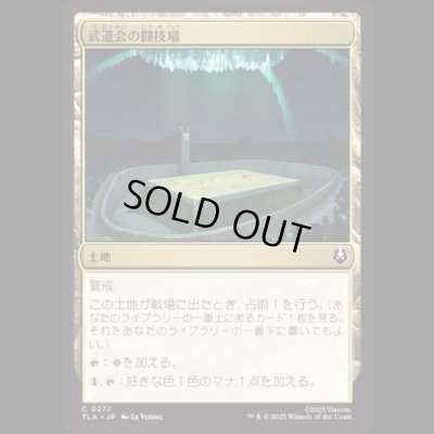 画像1: 武道会の闘技場/Rumble Arena [TLA]