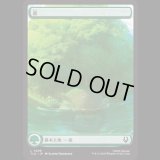 [アバターの旅・基本土地] 森/Forest (No.296)[TLA]