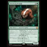 アナグマモグラの仔/Badgermole Cub [TLA]