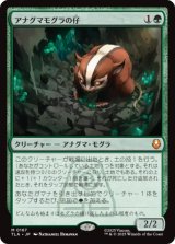[FOIL] アナグマモグラの仔/Badgermole Cub [TLA]
