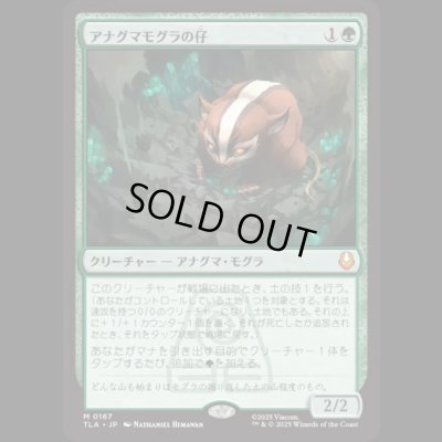 画像1: アナグマモグラの仔/Badgermole Cub [TLA]