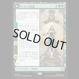 キヨシの伝説/The Legend of Kyoshi [TLA]