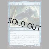 司書、ワン・シー・トン/Wan Shi Tong, Librarian [TLA]