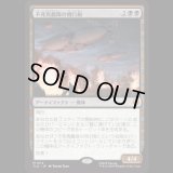 不死鳥艦隊の飛行船/Phoenix Fleet Airship [TLA]