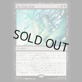 霧の沼地の幻視/Foggy Swamp Visions [TLA]