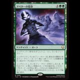 アバターの宿命/Avatar Destiny [TLA]