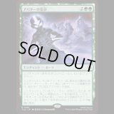 アバターの宿命/Avatar Destiny [TLA]