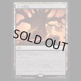 コーの領域/Realm of Koh [TLA]