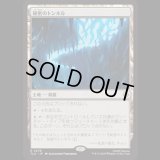 秘密のトンネル/Secret Tunnel [TLA]