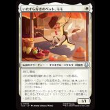 いたずら好きのペット、モモ/Momo, Playful Pet [TLA]