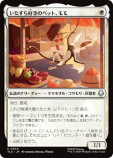 いたずら好きのペット、モモ/Momo, Playful Pet [TLA]