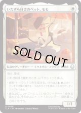 いたずら好きのペット、モモ/Momo, Playful Pet [TLA]