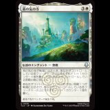 南の気の寺/Southern Air Temple [TLA]