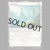 南の気の寺/Southern Air Temple [TLA]