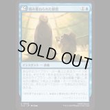 積み重ねられた叡智/Accumulate Wisdom [TLA]